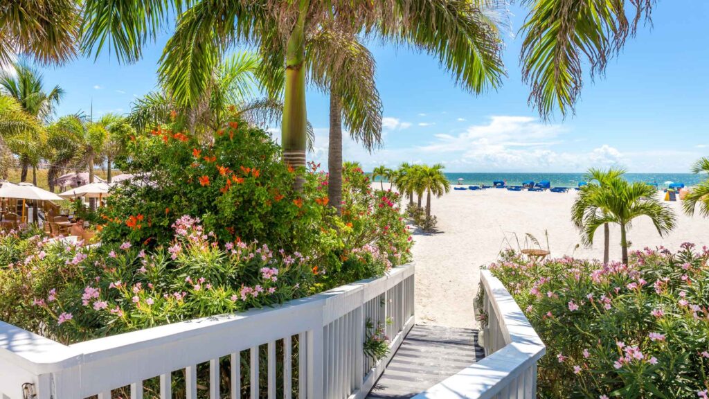 St. Kitts & Nevis Citizenship By Investment Program Expands Dependent Criteria