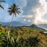 Your 2025 Guide to São Tomé and Príncipe Citizenship by Investment